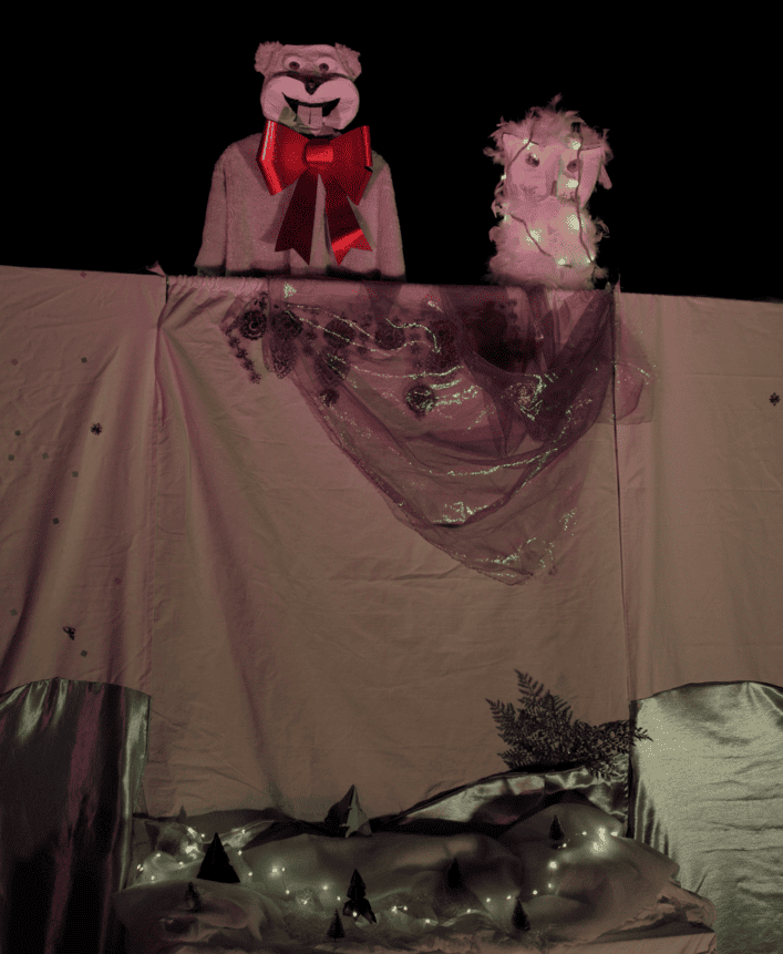 Nadeige le harfang des neiges et Gus.